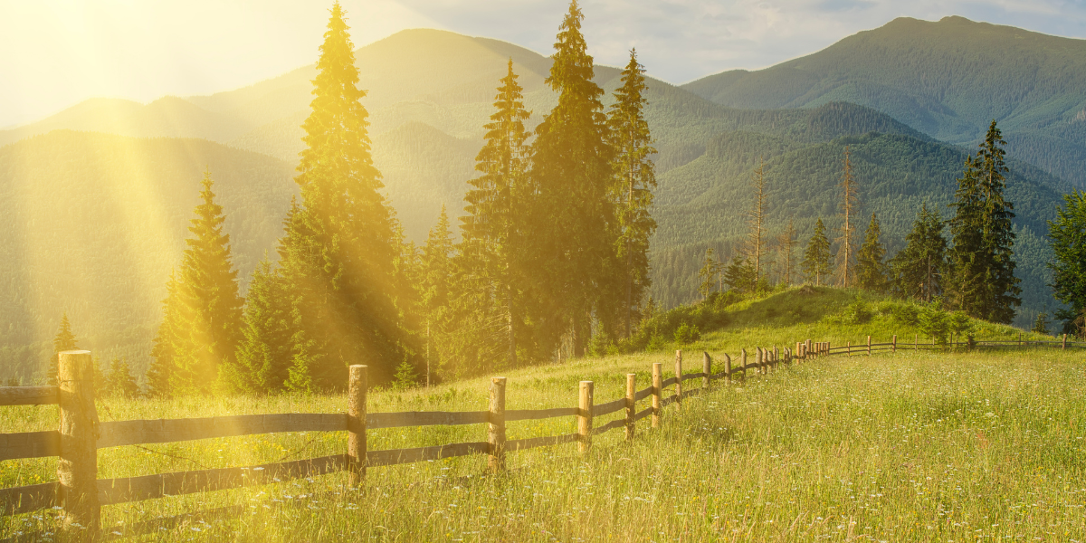 How Do I Choose the Right Coach in 2025?