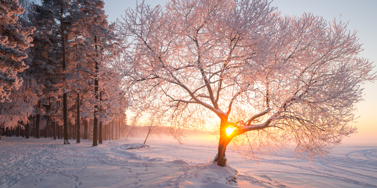 Seven Things Professional Coaches CANNOT Do