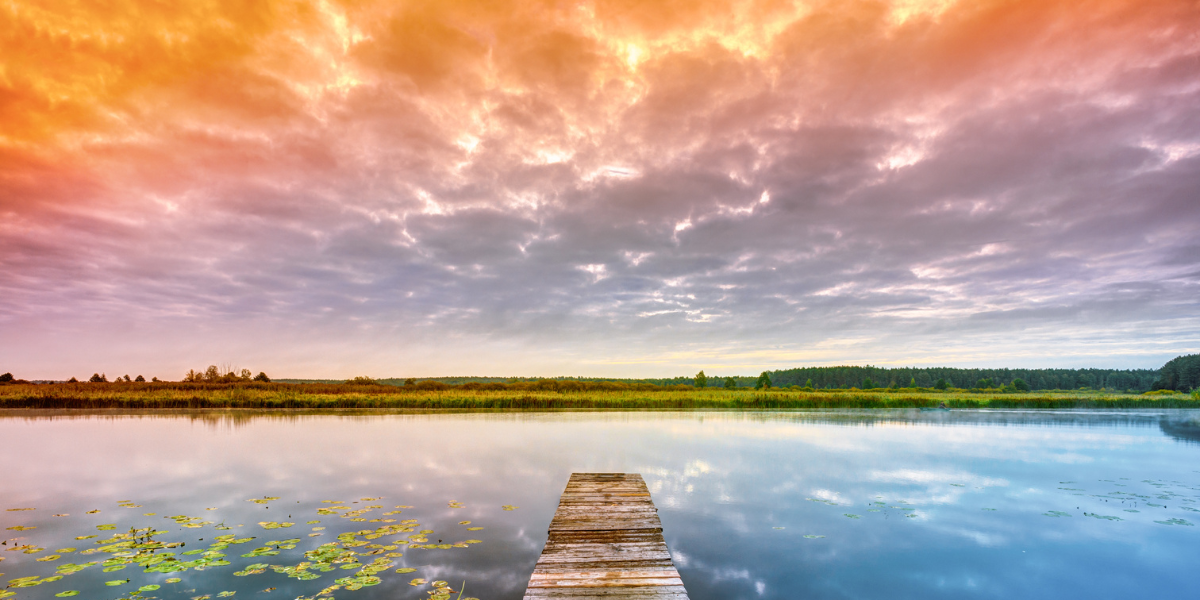 Coaching Versus Therapy