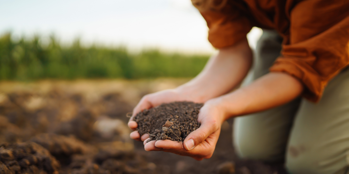 Why I Became a Professional Coach